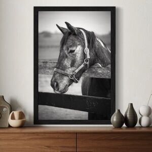 "Introspective" Equine Wall Art
